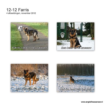Foto's van Farris 7 maanden in de sneeuw